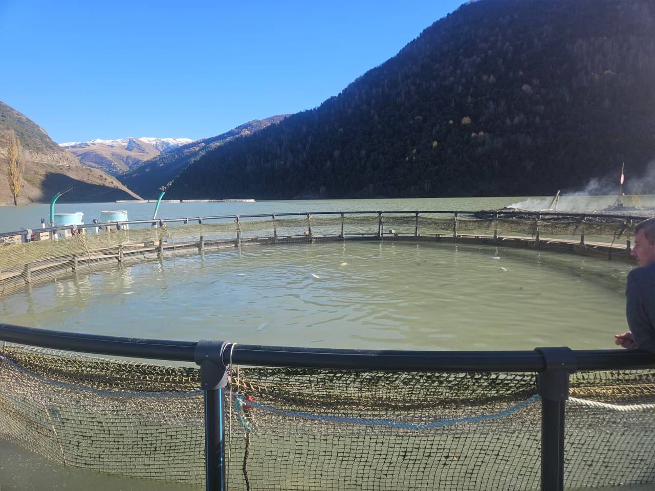 Вопросы развития форелеводства обсуждены в Комитете по рыбному хозяйству РД